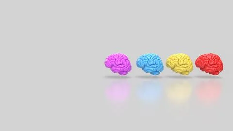 The Brain multi color on white background  for education or sci concept 3d .. Stock Illustration