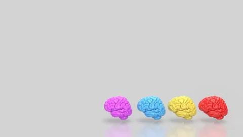 The Brain multi color on white background  for education or sci concept 3d .. Stock Illustration