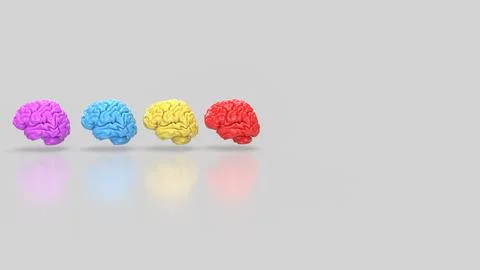 The Brain multi color on white background  for education or sci concept 3d .. イラスト素材