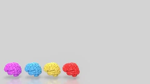 The Brain multi color on white background  for education or sci concept 3d .. Stock Illustration