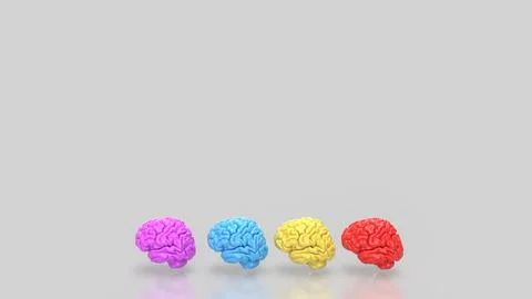 The Brain multi color on white background  for education or sci concept 3d .. イラスト素材