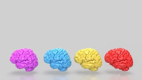The Brain multi color on white background  for education or sci concept 3d .. Stock Illustration