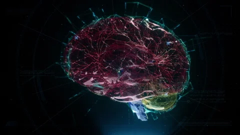 Brain nervous system HD1080 Stock Footage 248059440