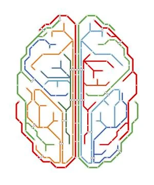 Brain, network diagram Stockillustratie