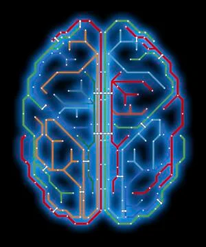 Brain, network diagram 스톡 일러스트