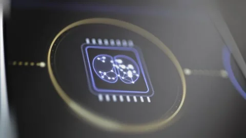 Brain network glows within processor chip Stock Footage 348071347