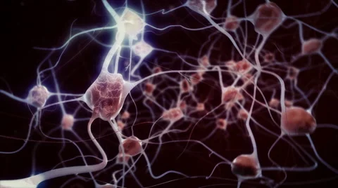 Brain / Neural network with electrical impulses 4K. Hyper realistic and loopable Stock Footage 42841539