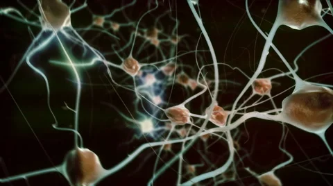 Brain / Neural network with electrical impulses 4K. Hyper realistic and loopable Stock Footage 42849611