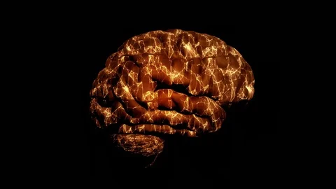 Brain Neural Network Stock Footage 120856136