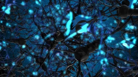 Brain neuron, also known as a neurone or nerve cell Stock Footage 114258192