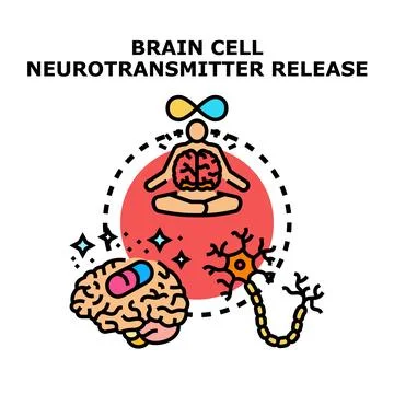Brain neuron communicating with neurotransmitters and human balance Stock Illustration