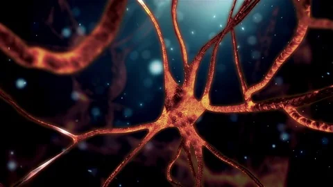 Brain Neuron Stock Footage