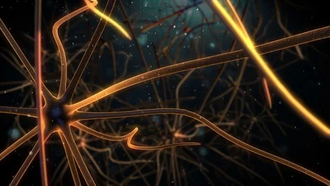 Brain Neuron from left to right Video stock 81661036