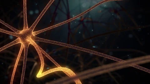 Brain Neuron Network-detail neuron on the right in perspective Video stock 70666982