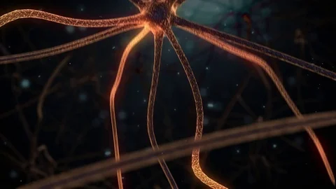 Brain Neuron Network- flying in the brain Stock-Footage 70665465