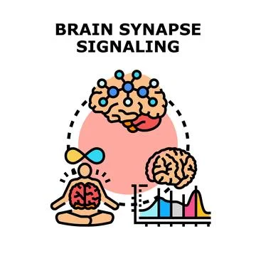 Brain neuron synapse signaling and mental activity concept Illustrazione stock