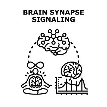 Brain neuron synapse signaling and mental activity concept Stock Illustration
