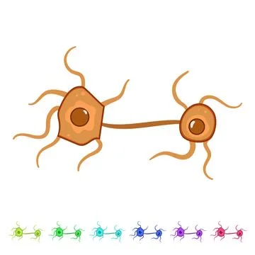 Brain neurons cartoon vector graphic Stock Illustration