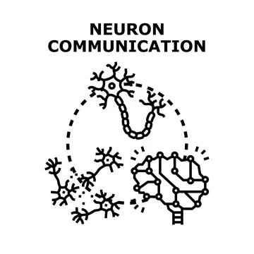 Brain neurons communicating complex nervous system network Stock Illustration