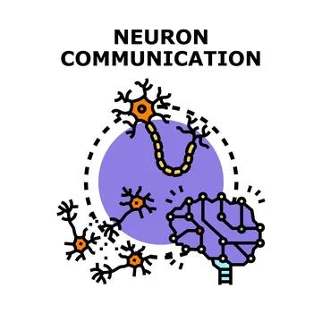 Brain neurons communicating complex nervous system network Stock Illustration