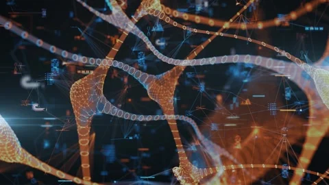 Brain Neurons Connections Neural Network Nerve Cells Synapses Stock Footage 304643239