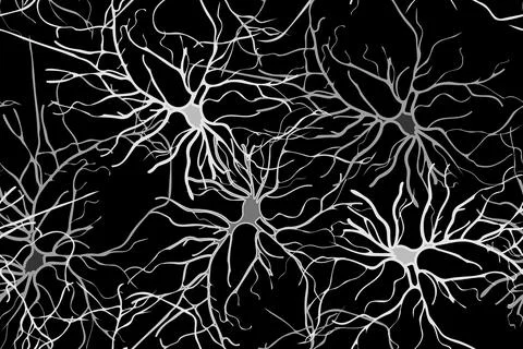 Brain neurons - grayscale pattern Stock Illustration