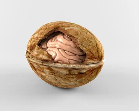 Brain in nuts on gray background Stock Illustration