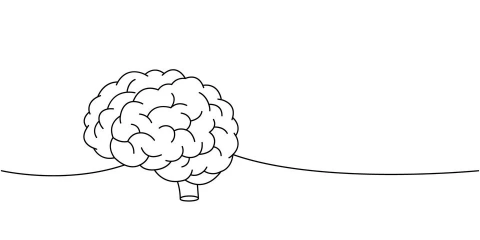 Brain one line continuous drawing. Human internal organ continuous one line Stock Illustration