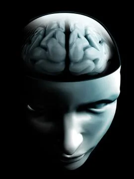 Brain on open human face Stock Illustration