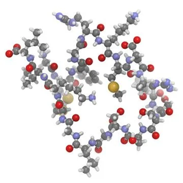 Brain or b-type natriuretic peptide (bnp) molecule, chemical structure. Stock Illustration