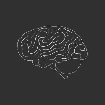 Brain or mind side outline vector icon. medical illustration Stock Illustration