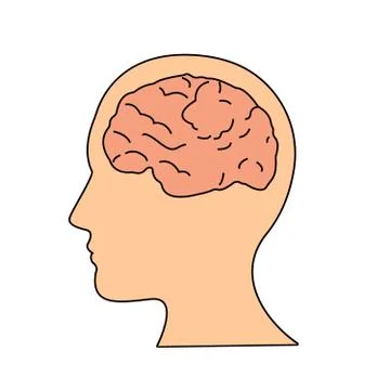 Brain or mind side view inside head line art vector icon for medical apps and Stock Illustration