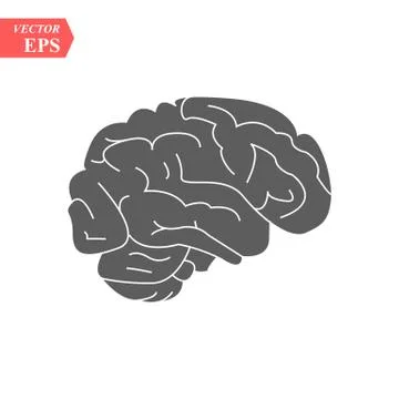 Brain or mind side view line art color vector icon for medical apps and websi Stock Illustration