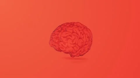 Brain orange Vidéo 154473923