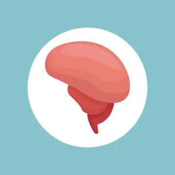 Brain organ human function image Stock Illustration