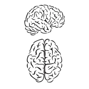 Brain outline symbols Stock Illustration