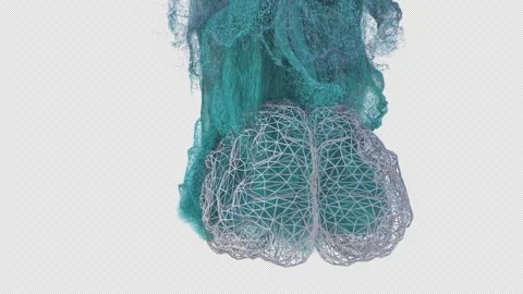 Brain Particles Animation With Alpha Stock Footage 246751412