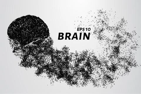 The brain of the particles. The brain is composed of circles and dots. Vector Stock Illustration