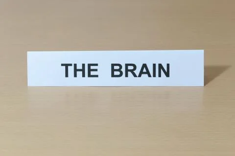 The brain Stock Photos