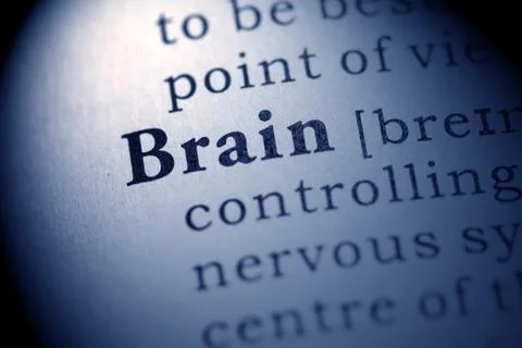 Brain Stock Photos