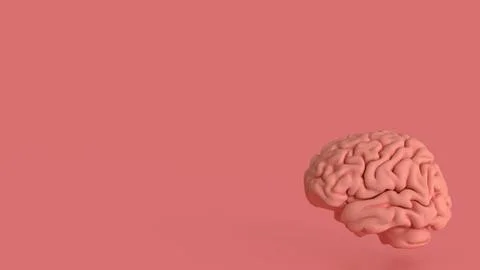 The Brain on pink Background for sci or health concept 3d Rendering. Stock Illustration