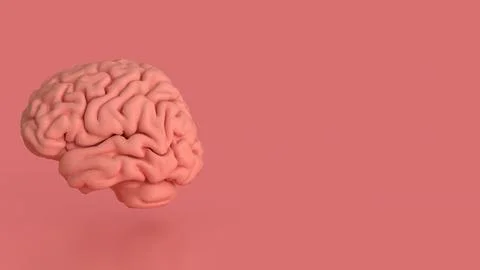 The Brain on pink Background for sci or health concept 3d Rendering. Stock Illustration