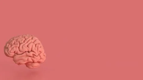 The Brain on pink Background for sci or health concept 3d Rendering. Illustrazione stock