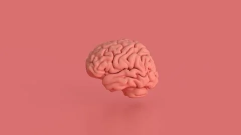 The Brain on pink Background for sci or health concept 3d Rendering. Foto stock