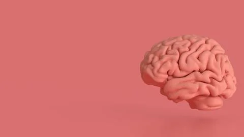 The Brain on pink Background for sci or health concept 3d Rendering. Stock Photos