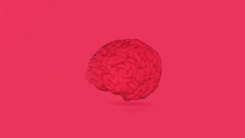 Brain pink Stock-Footage 154473922