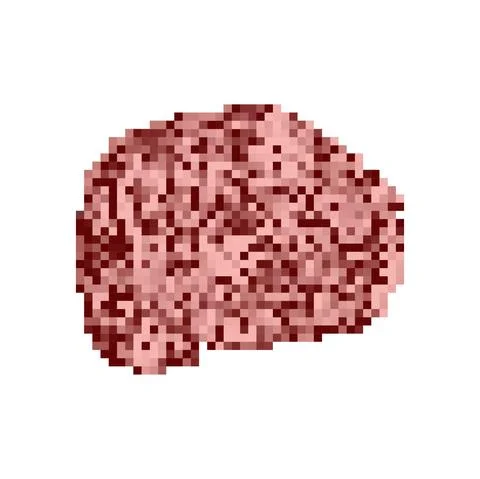 Brain pixel art. 8 bit brains. pixelated vector illustration Stock Illustration