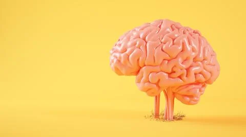 Brain plant sprout concept Stock Illustration