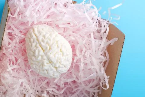 The brain in the postal parcel is spared Stock Photos
