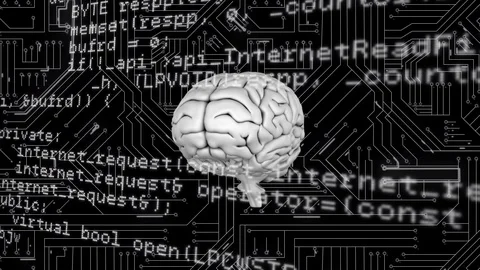 Brain with program codes Stock Footage 112011837